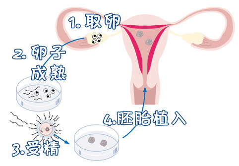清砚堂中医馆